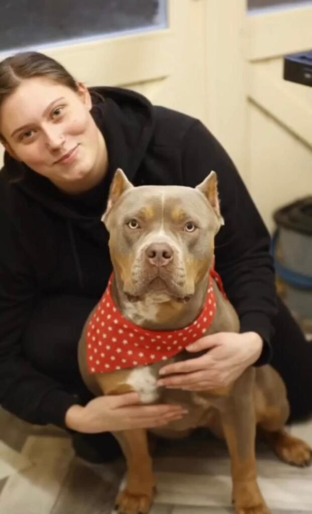 dog groomer near Carshalton